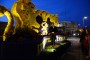 Thumbs/tn_Bloemencorso 2015 184.jpg